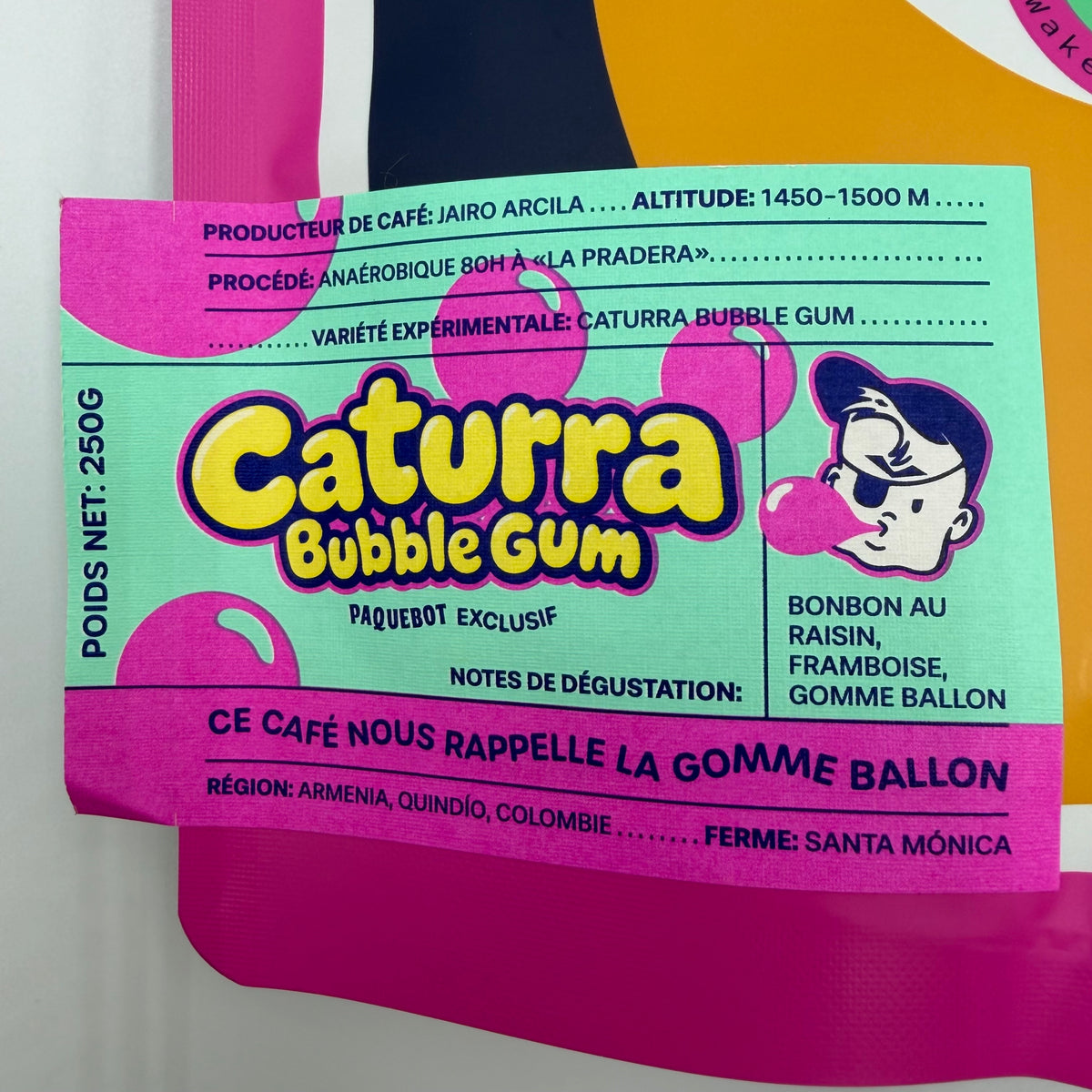 CATURRA BUBBLE GUM