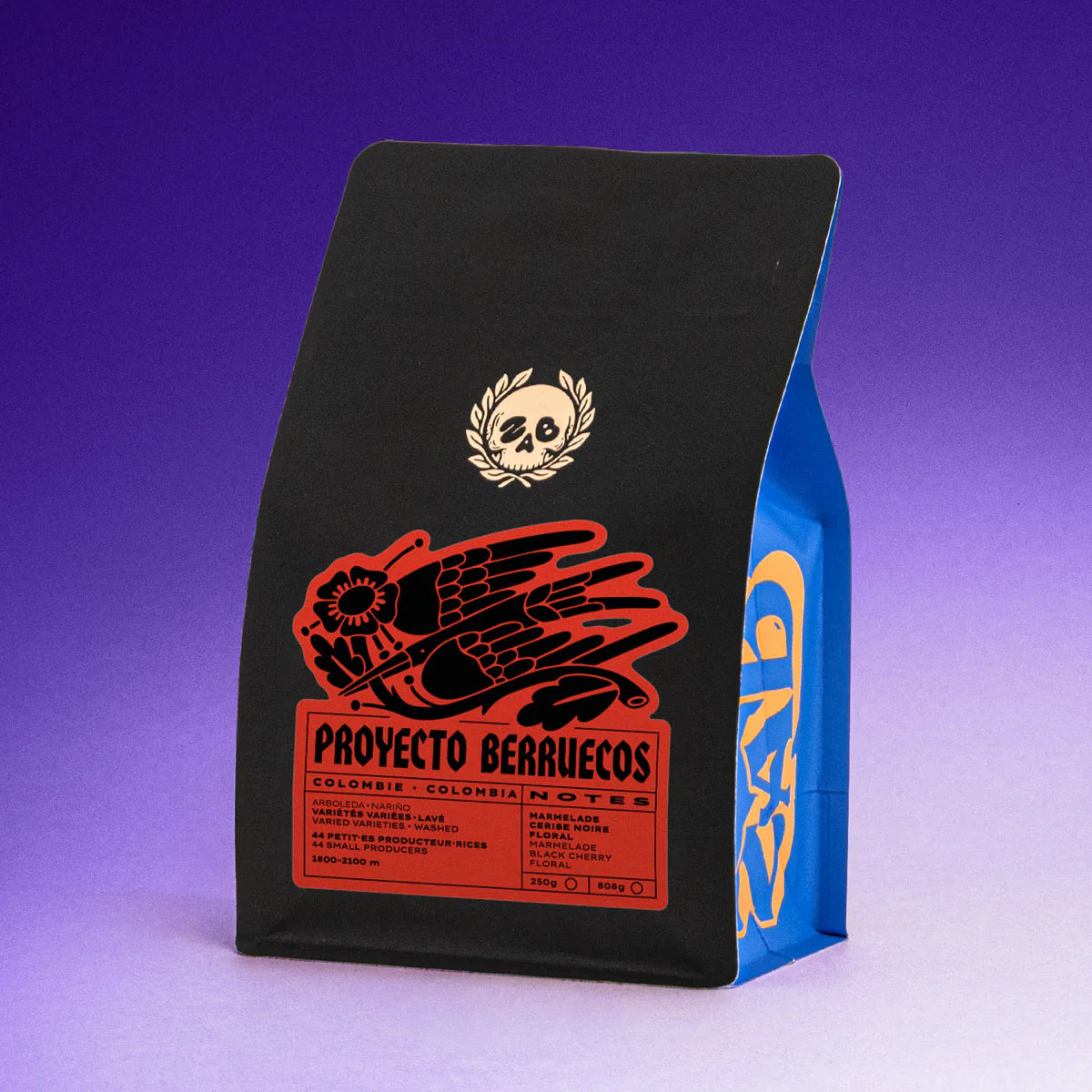 COLOMBIE - PROYECTO BERRUECOS